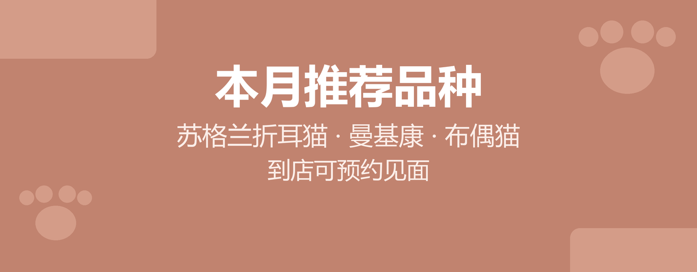 本月推荐品种