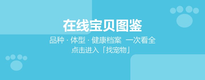 在线宝贝图鉴